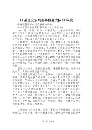 2024年县区公安局刑事侦查大队年度