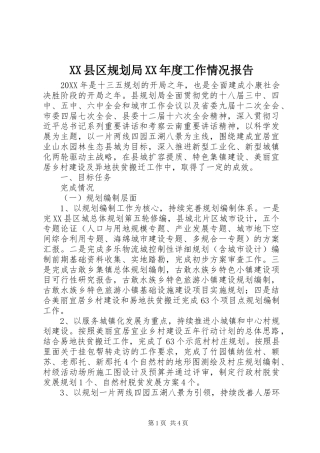 2024年县区规划局年度工作情况报告