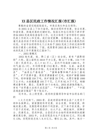 2024年县区民政工作情况汇报市汇报