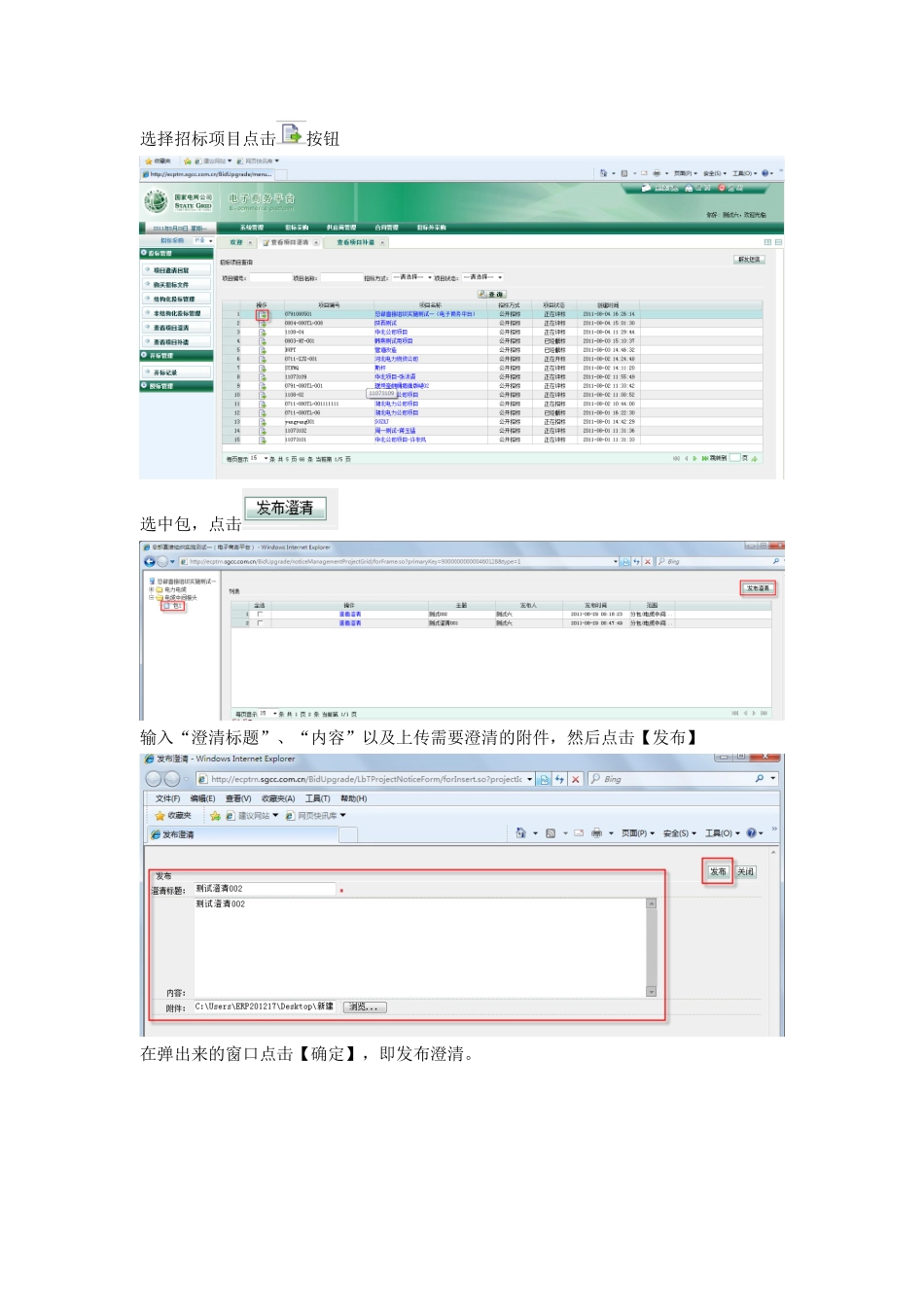 国网电子商务平台—投标管理操作_第2页