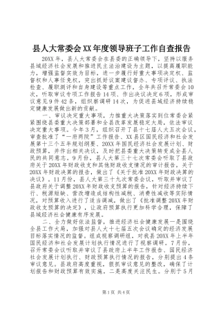 2024年县人大常委会年度领导班子工作自查报告