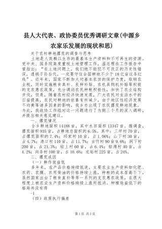 2024年县人大代表政协委员优秀调研文章中源乡农家乐发展的现状和思