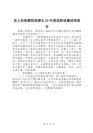 2024年县人民检察院检察长年度述职述廉述效报告