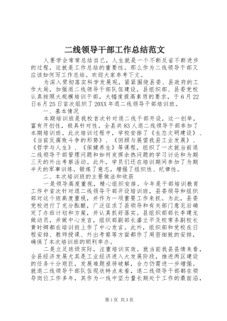 2024年二线领导干部工作总结范文