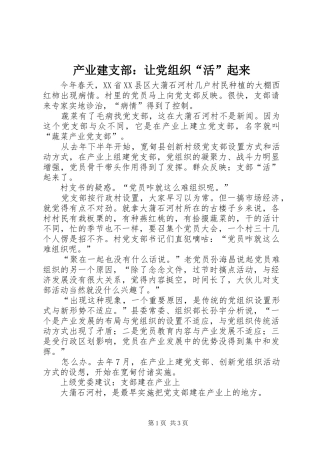 2024年产业建支部让党组织活起来