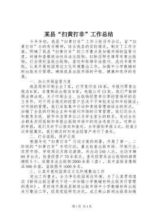 2024年县扫黄打非工作总结