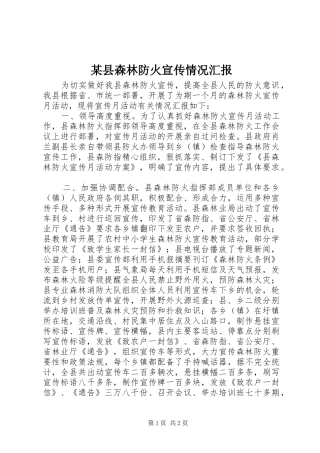 2024年县森林防火宣传情况汇报