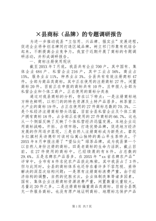 2024年县商标的专题调研报告
