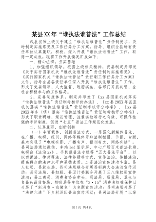 2024年县谁执法谁普法工作总结