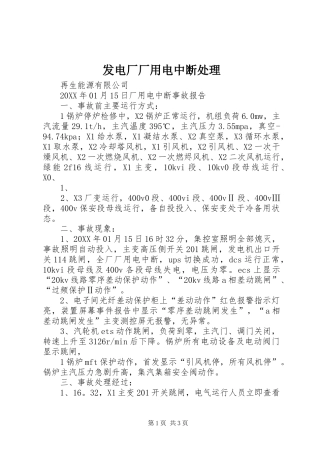 2024年发电厂厂用电中断处理