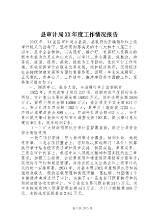 2024年县审计局年度工作情况报告
