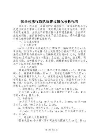 2024年县司法行政队伍建设情况分析报告