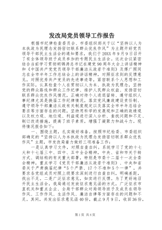 2024年发改局党员领导工作报告