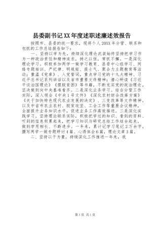 2024年县委副书记年度述职述廉述效报告