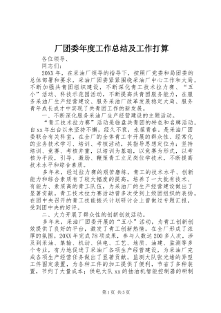 2024年厂团委年度工作总结及工作打算