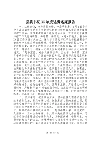 2024年县委书记年度述责述廉报告