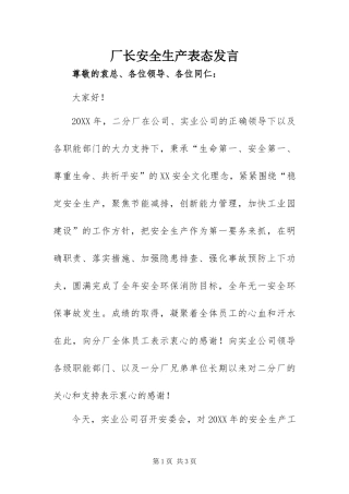 2024年厂长安全生产表态讲话