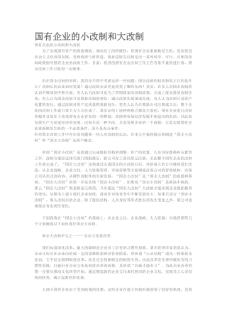 国有企业的小改制和大改制