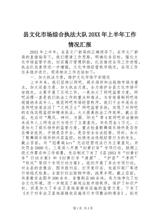 2024年县文化市场综合执法大队上半年工作情况汇报