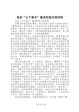 2024年县五个基本建设经验交流材料