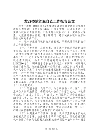 2024年发改委放管服自查工作报告范文