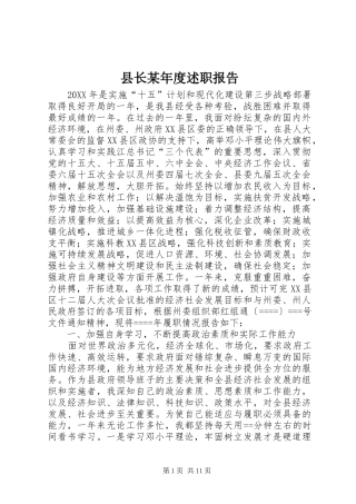 2024年县长年度述职报告