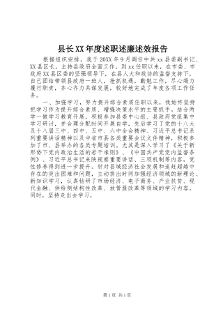 2024年县长年度述职述廉述效报告