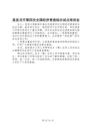 2024年县召开第四次全国经济普查综合试点培训会