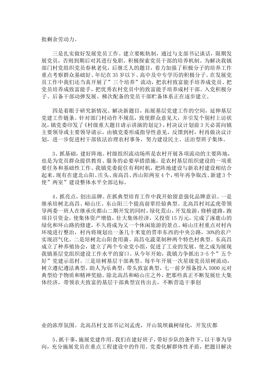 基层党支部书记的述职报告-总结报告模板_第3页