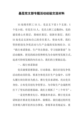 基层党支部专题活动经验交流材料