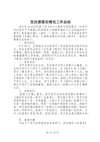 2024年发改委落实情况工作总结