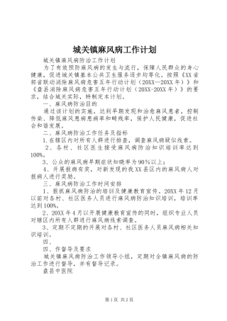 2024年城关镇麻风病工作计划