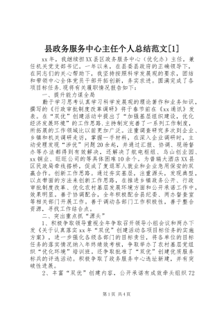2024年县政务服务中心主任个人总结范文