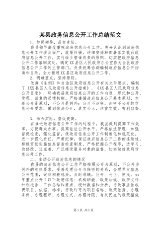 2024年县政务信息公开工作总结范文