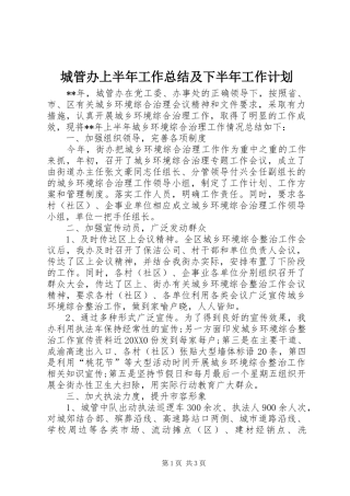 2024年城管办上半年工作总结及下半年工作计划