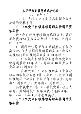 基层干部职级待遇试行办法