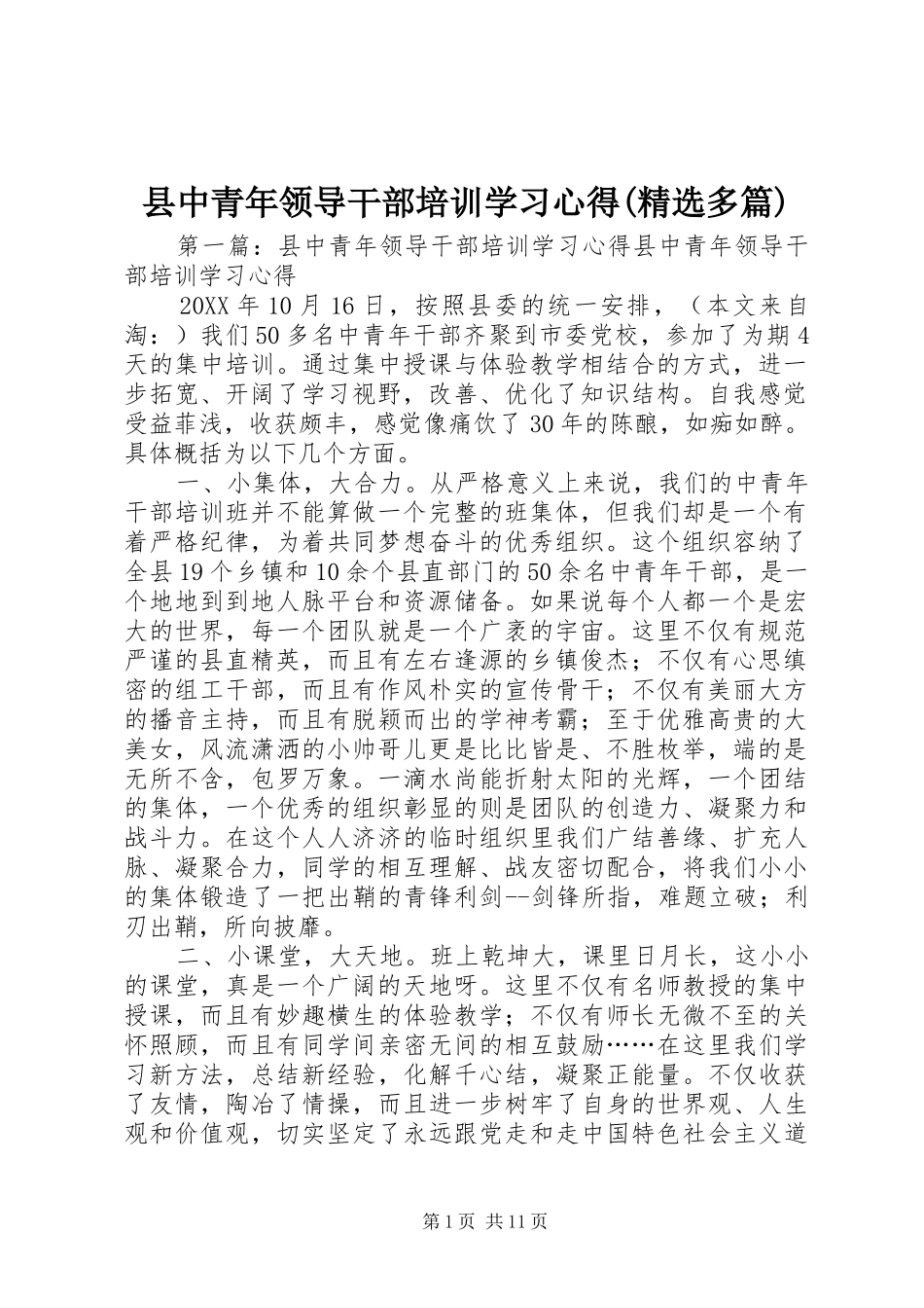 2024年县中青年领导干部培训学习心得多篇_第1页