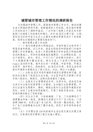 2024年城管城市管理工作情况的调研报告