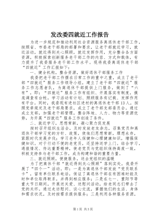 2024年发改委四就近工作报告