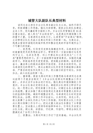 2024年城管大队副队长典型材料