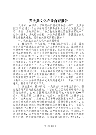 2024年发改委文化产业自查报告
