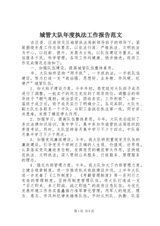 2024年城管大队年度执法工作报告范文