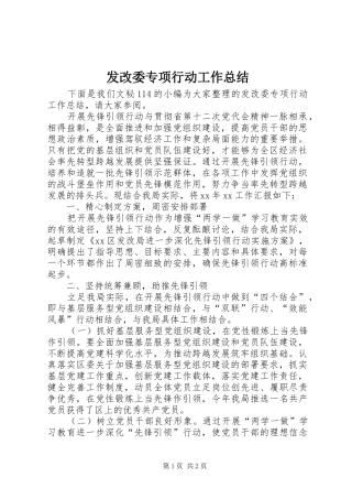 2024年发改委专项行动工作总结