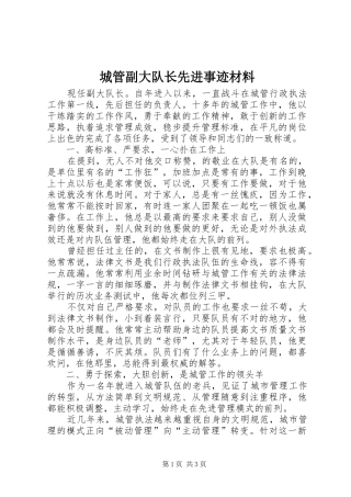 2024年城管副大队长先进事迹材料