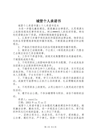 2024年城管个人承诺书