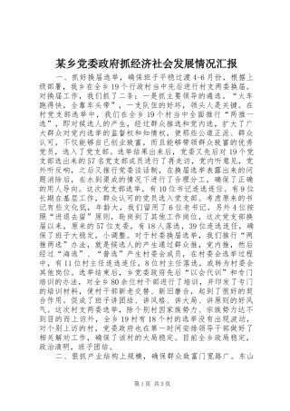 2024年乡党委政府抓经济社会发展情况汇报
