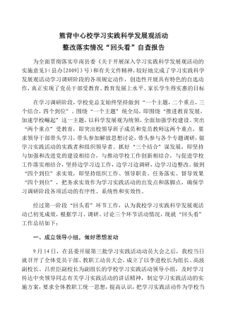 回头看自查报告