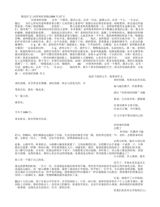 回望来时的路(800字)作文