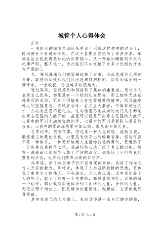 2024年城管个人心得体会