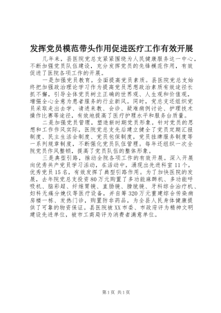 2024年发挥党员模范带头作用促进医疗工作有效开展
